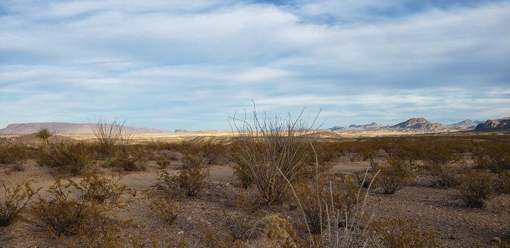 40 acres in Brewster County - photo 27
