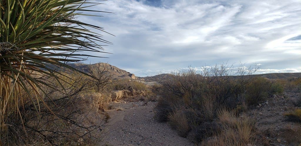 40 acres in Brewster County - photo 9