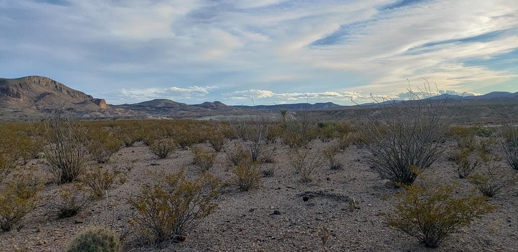 40 acres in Brewster County - photo 26