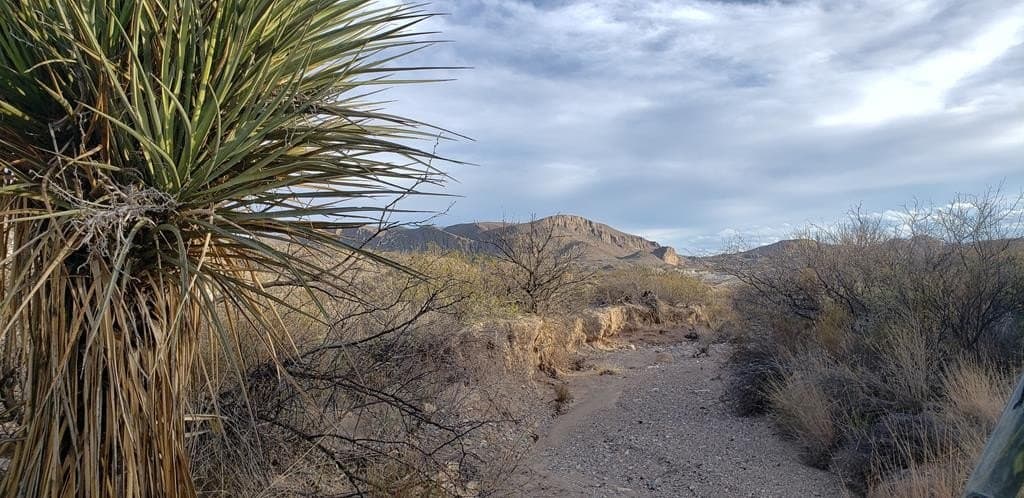 40 acres in Brewster County - photo 16