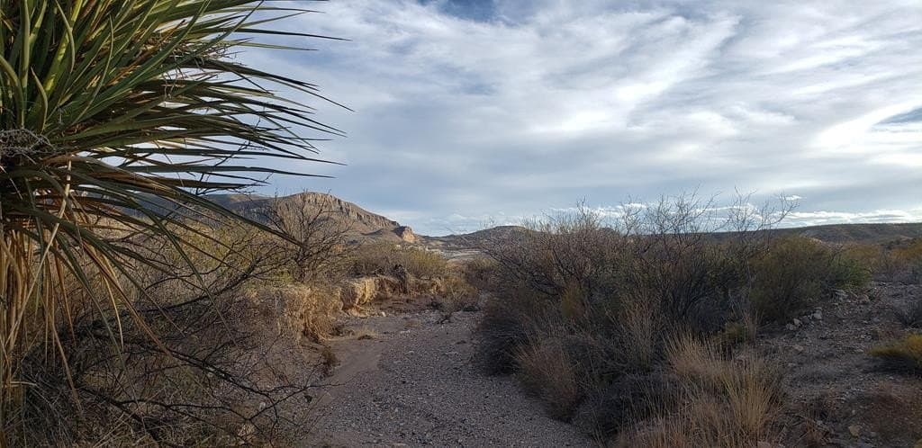 40 acres in Brewster County - photo 32