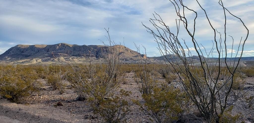 40 acres in Brewster County - photo 30