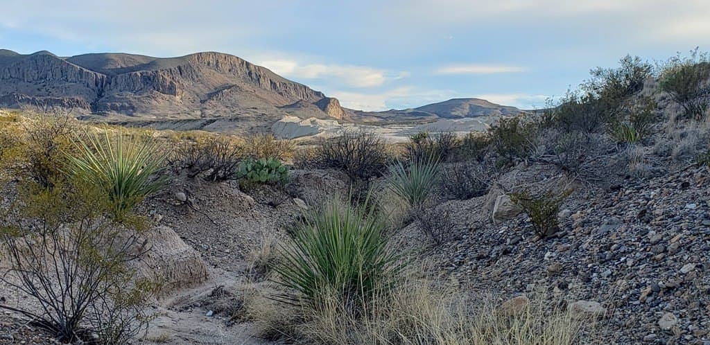 40 acres in Brewster County - photo 23