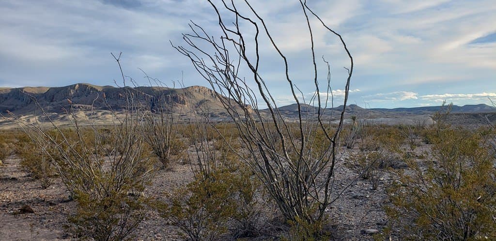 40 acres in Brewster County - photo 18