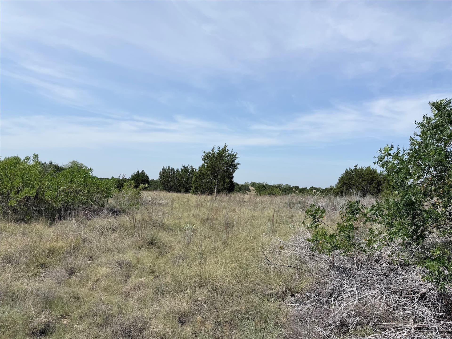 10.01 acres in Hamilton County - photo 8