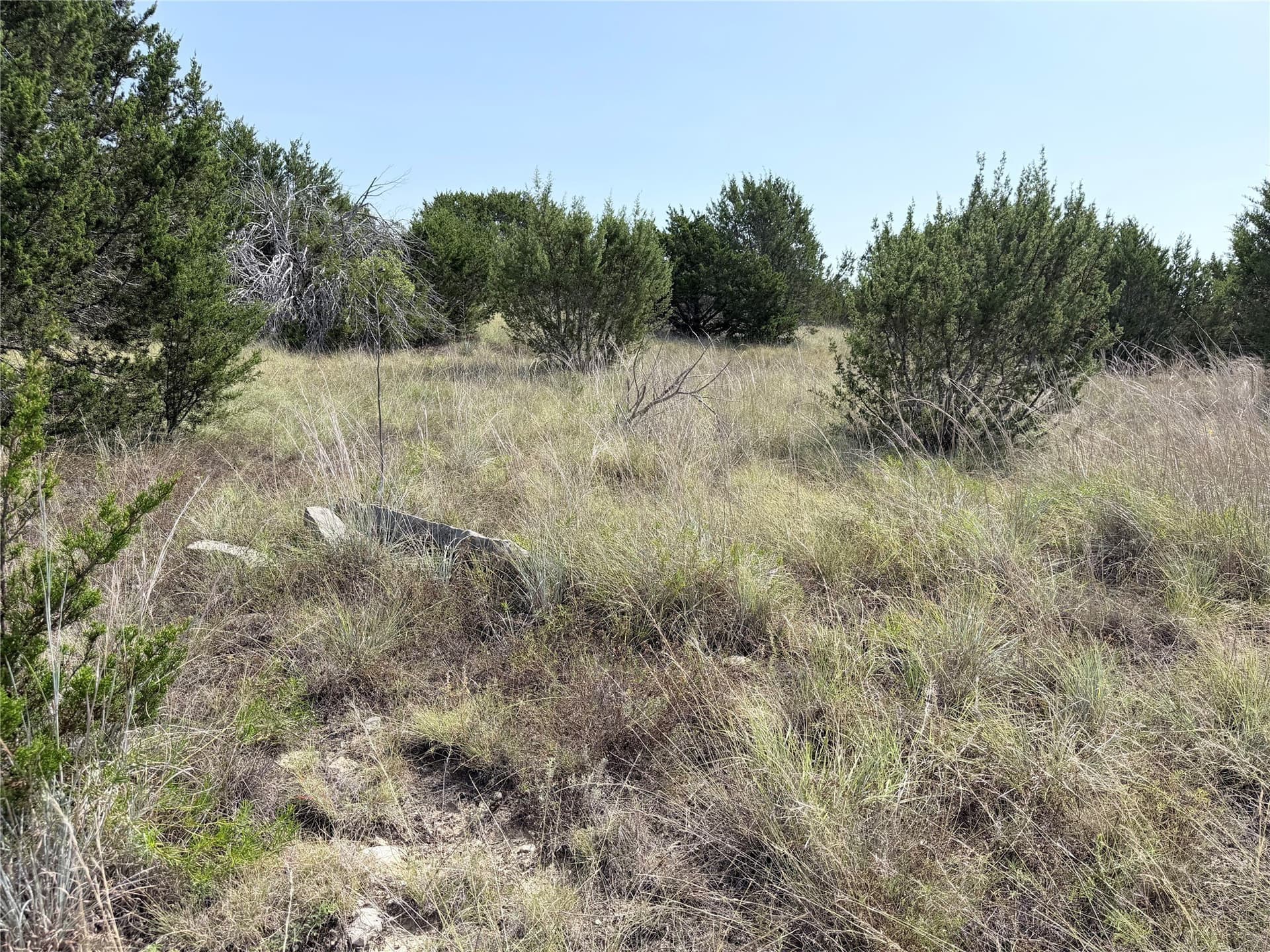 10.01 acres in Hamilton County - photo 3