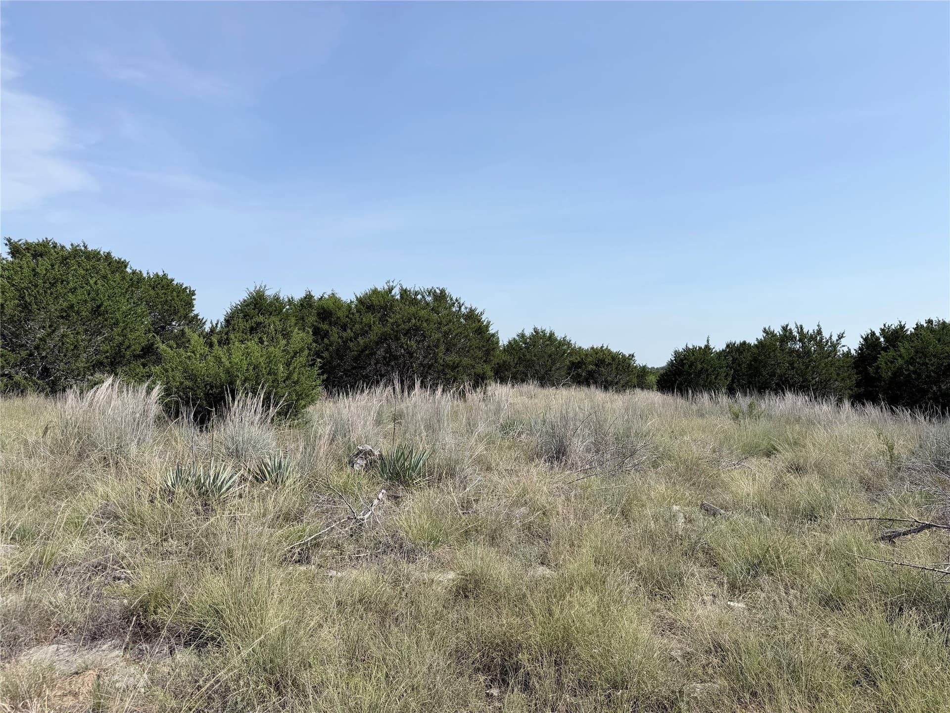 10.01 acres in Hamilton County - photo 9