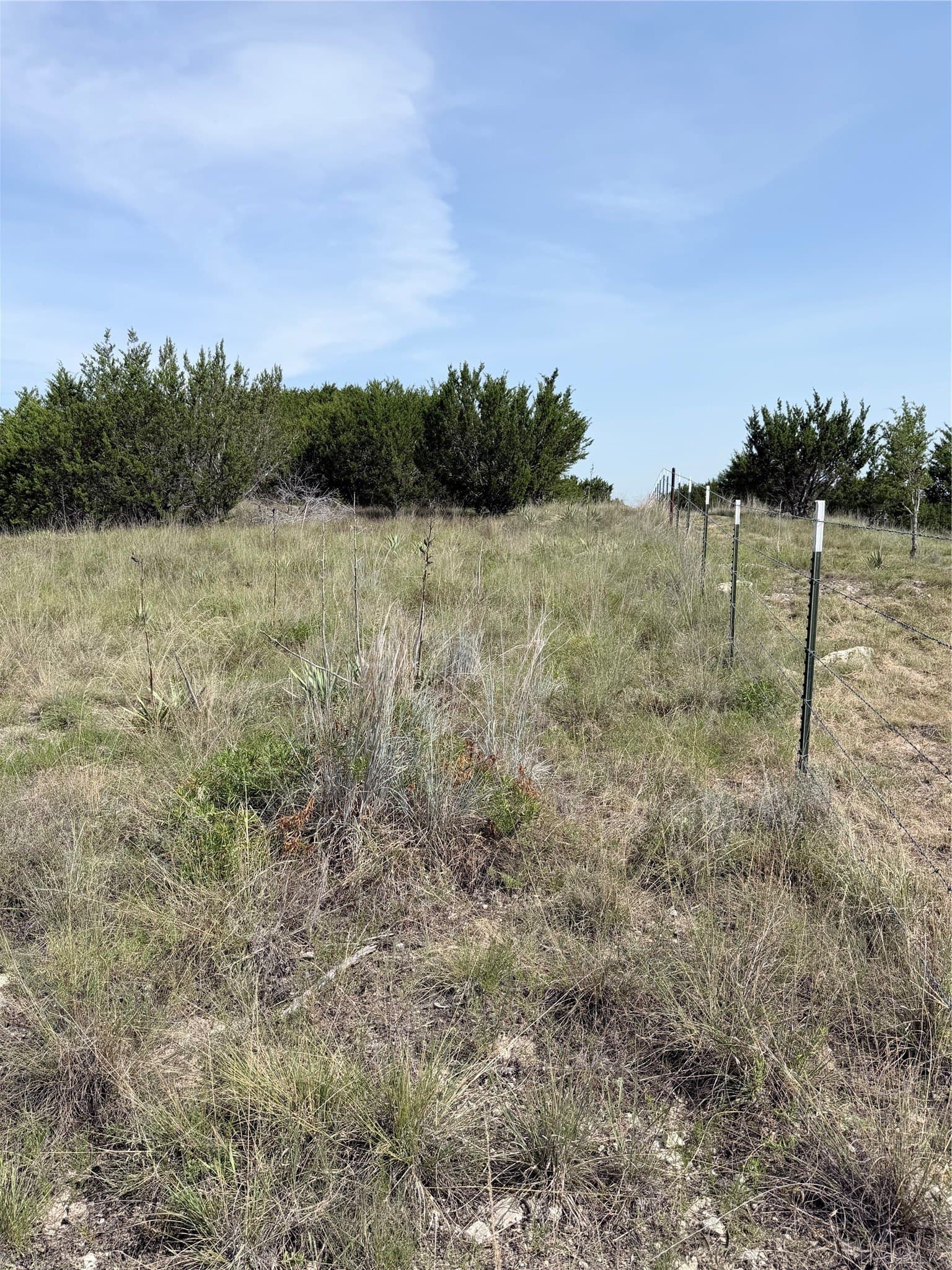 10.01 acres in Hamilton County - photo 5