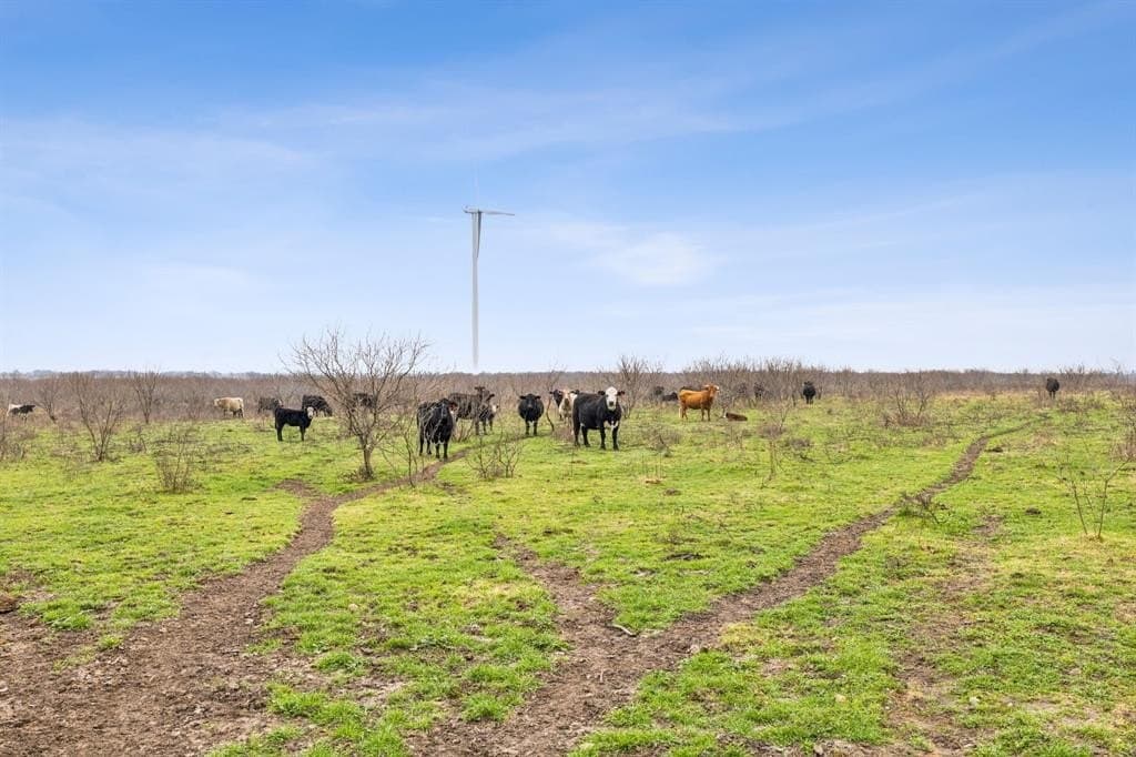 80.76 acres in Navarro County
