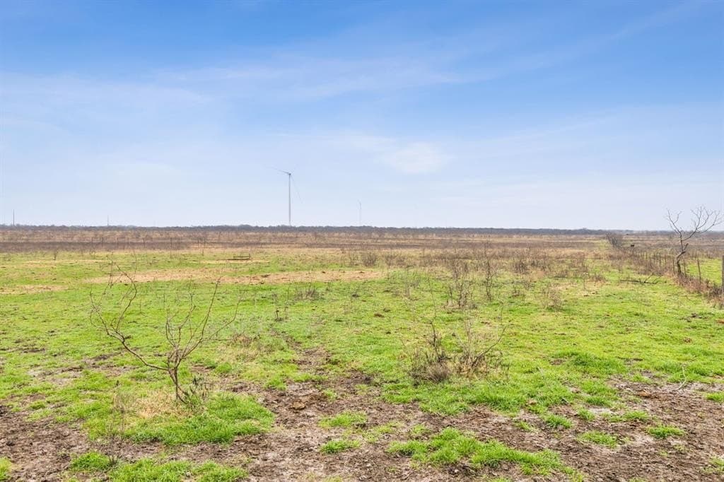 80.76 acres in Navarro County gallery image 2