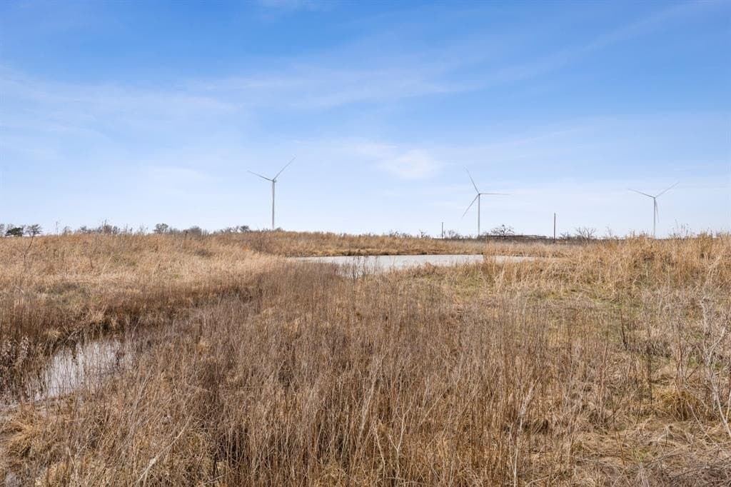 80.76 acres in Navarro County gallery image 3