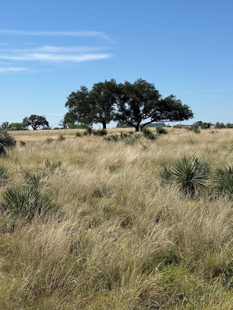 13.01 acres in Kimble County featured view