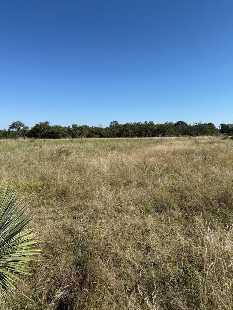 13.01 acres in Kimble County gallery image 3