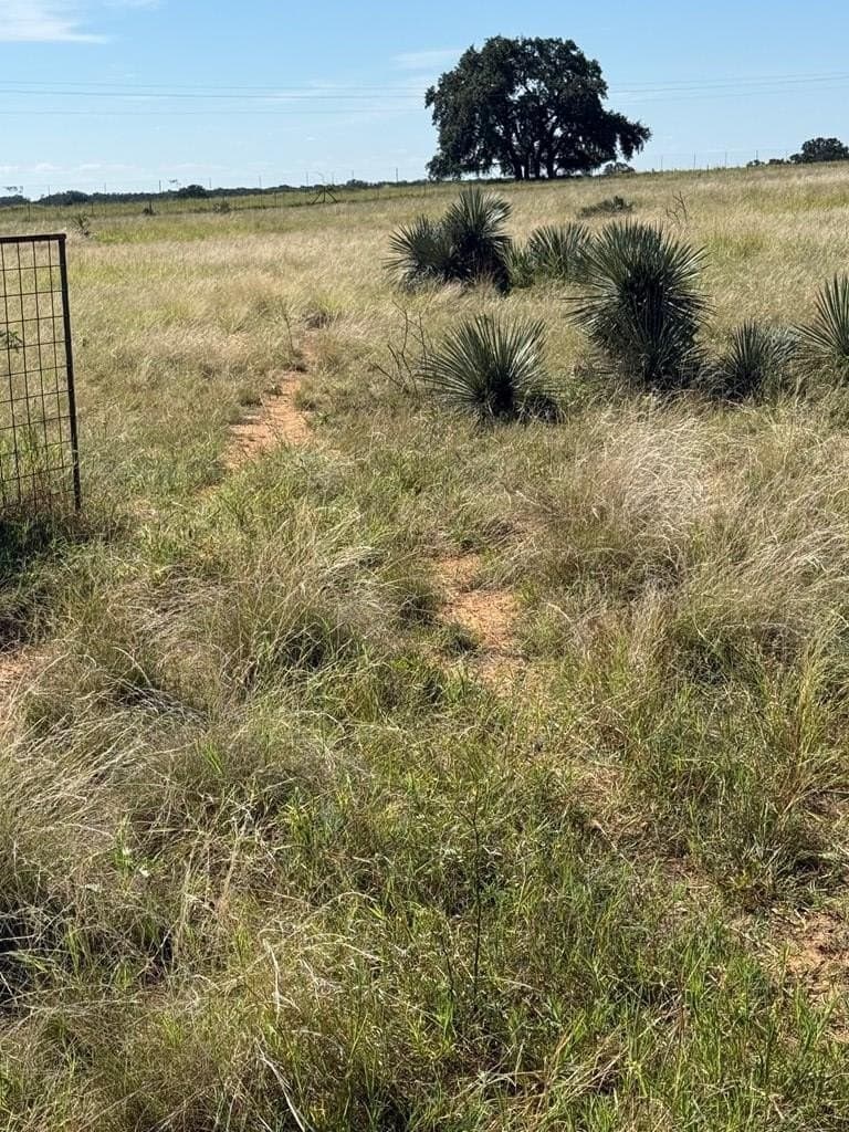 13.01 acres in Kimble County gallery image 4