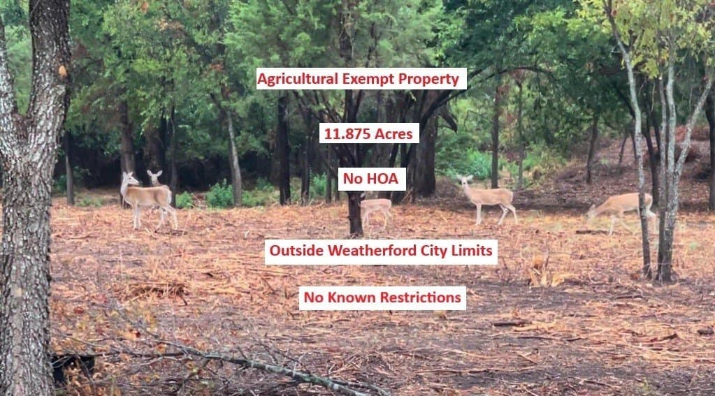 11.88 acres in Parker County gallery image 2