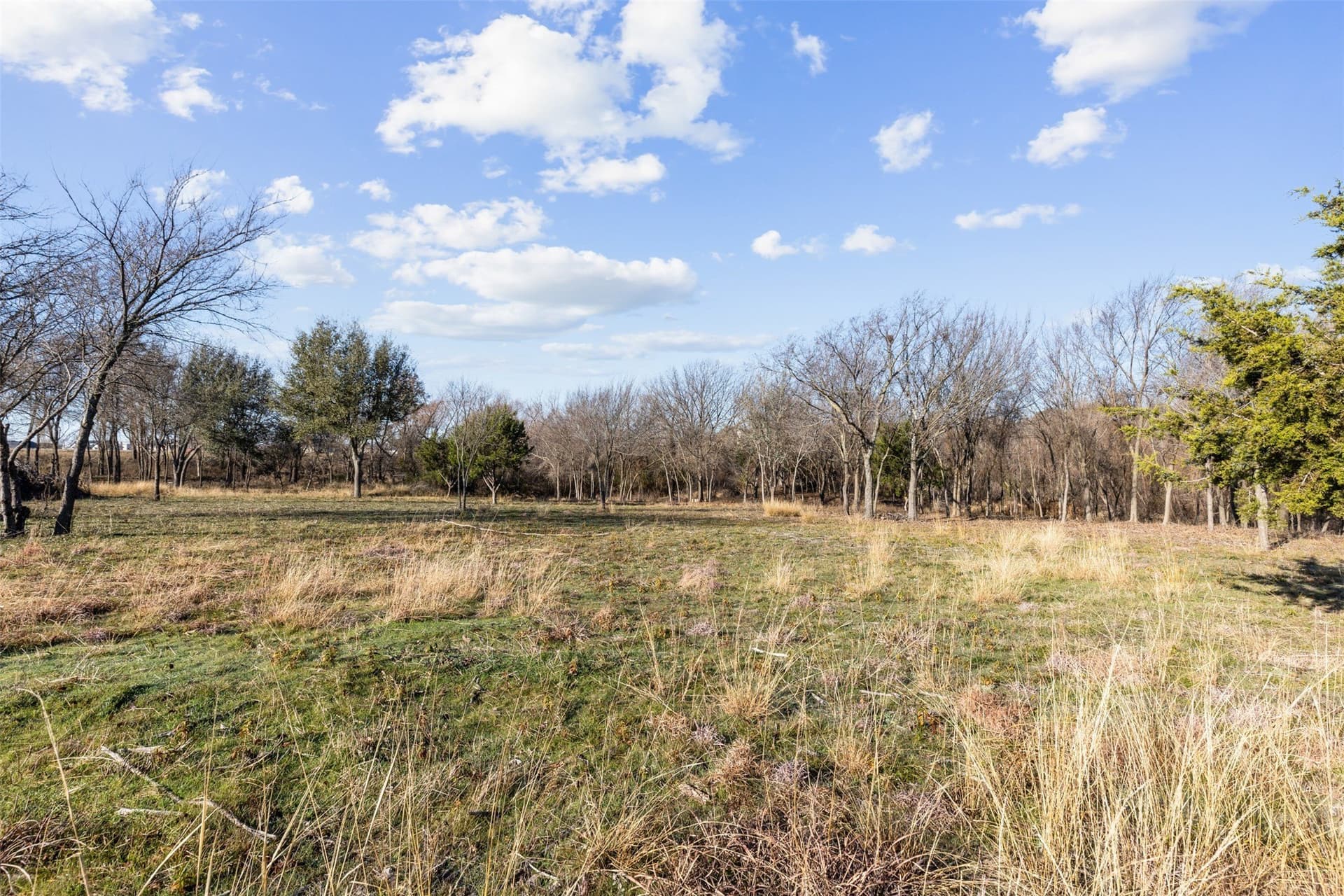 11.88 acres in Parker County - photo 9