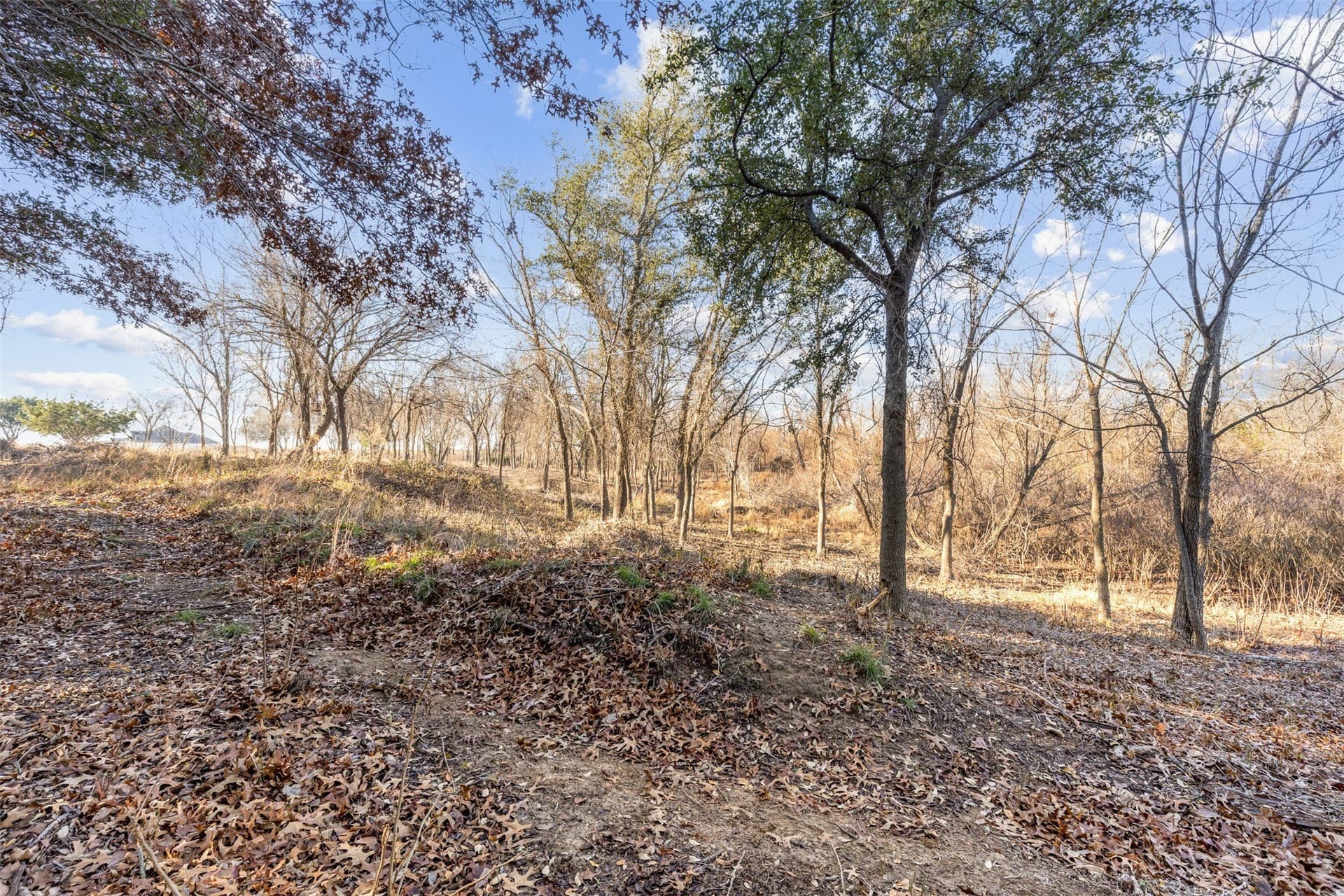 11.88 acres in Parker County - photo 8