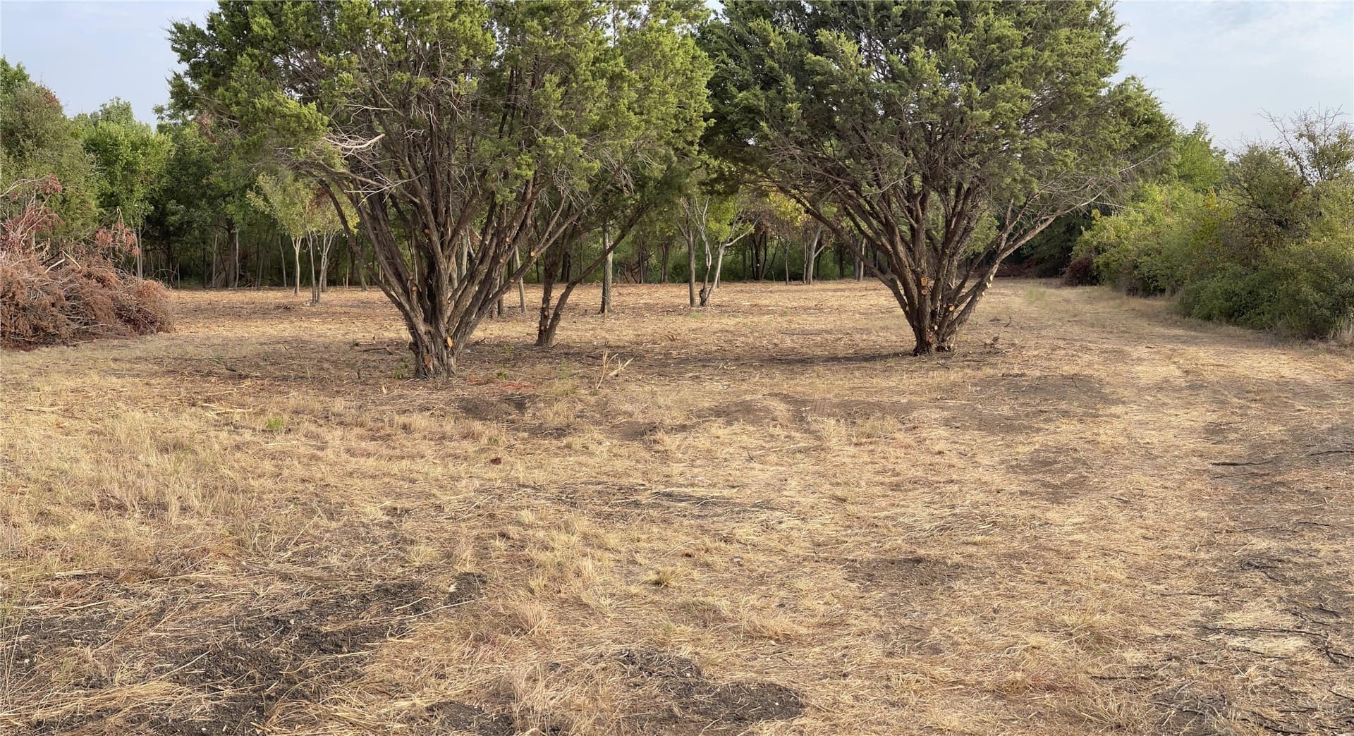 11.88 acres in Parker County gallery image 4