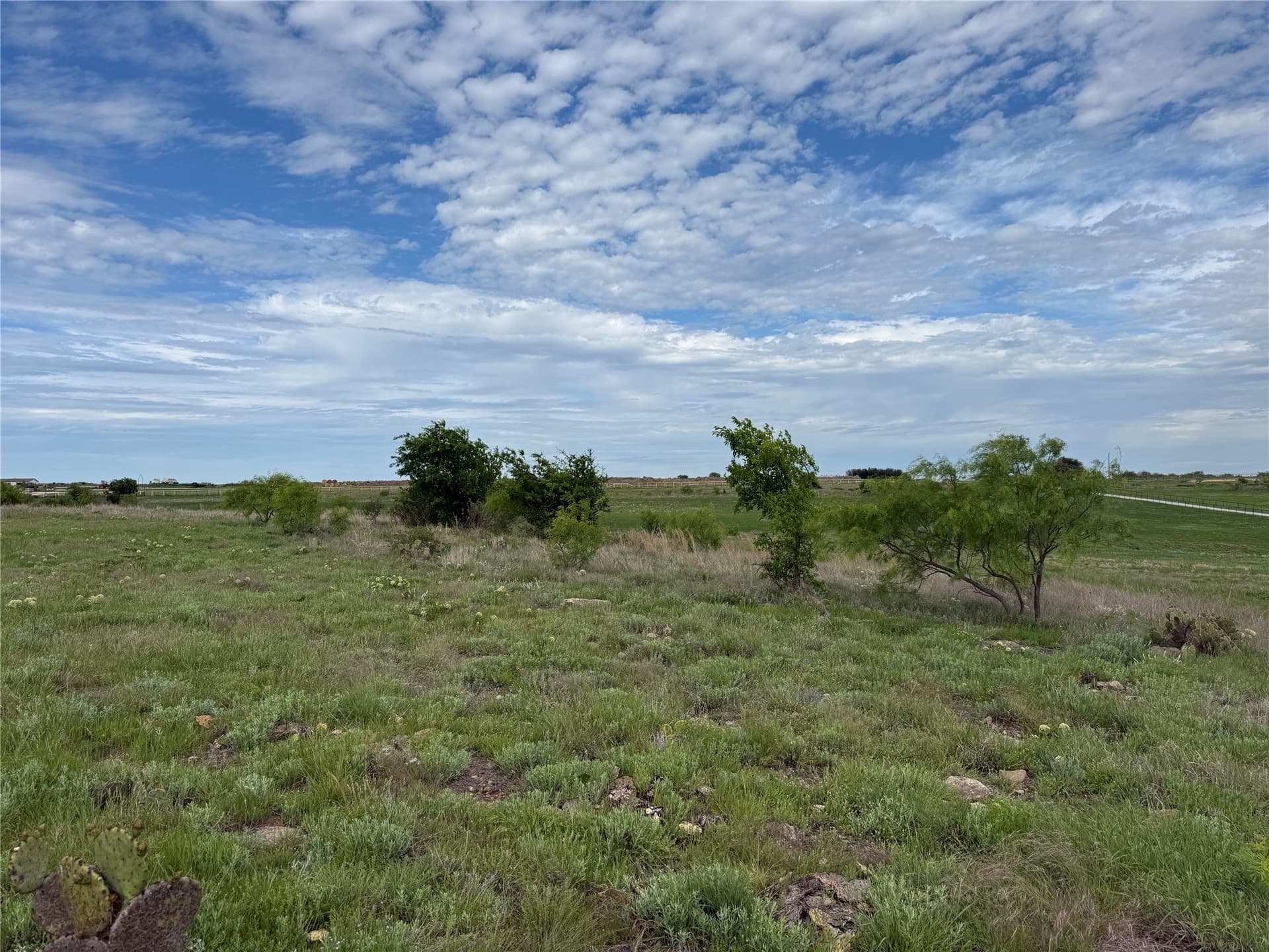 10.1 acres in Erath County gallery image 3