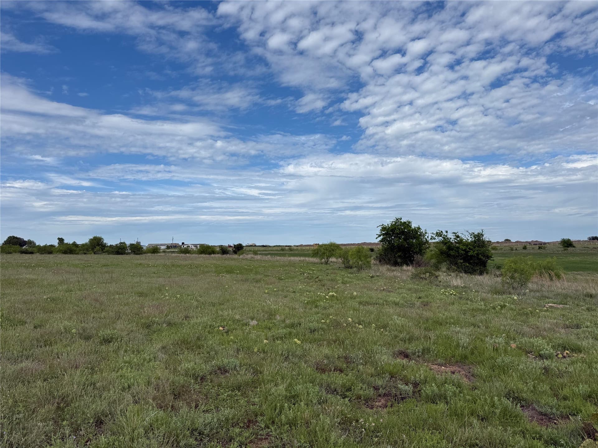 10.1 acres in Erath County gallery image 4
