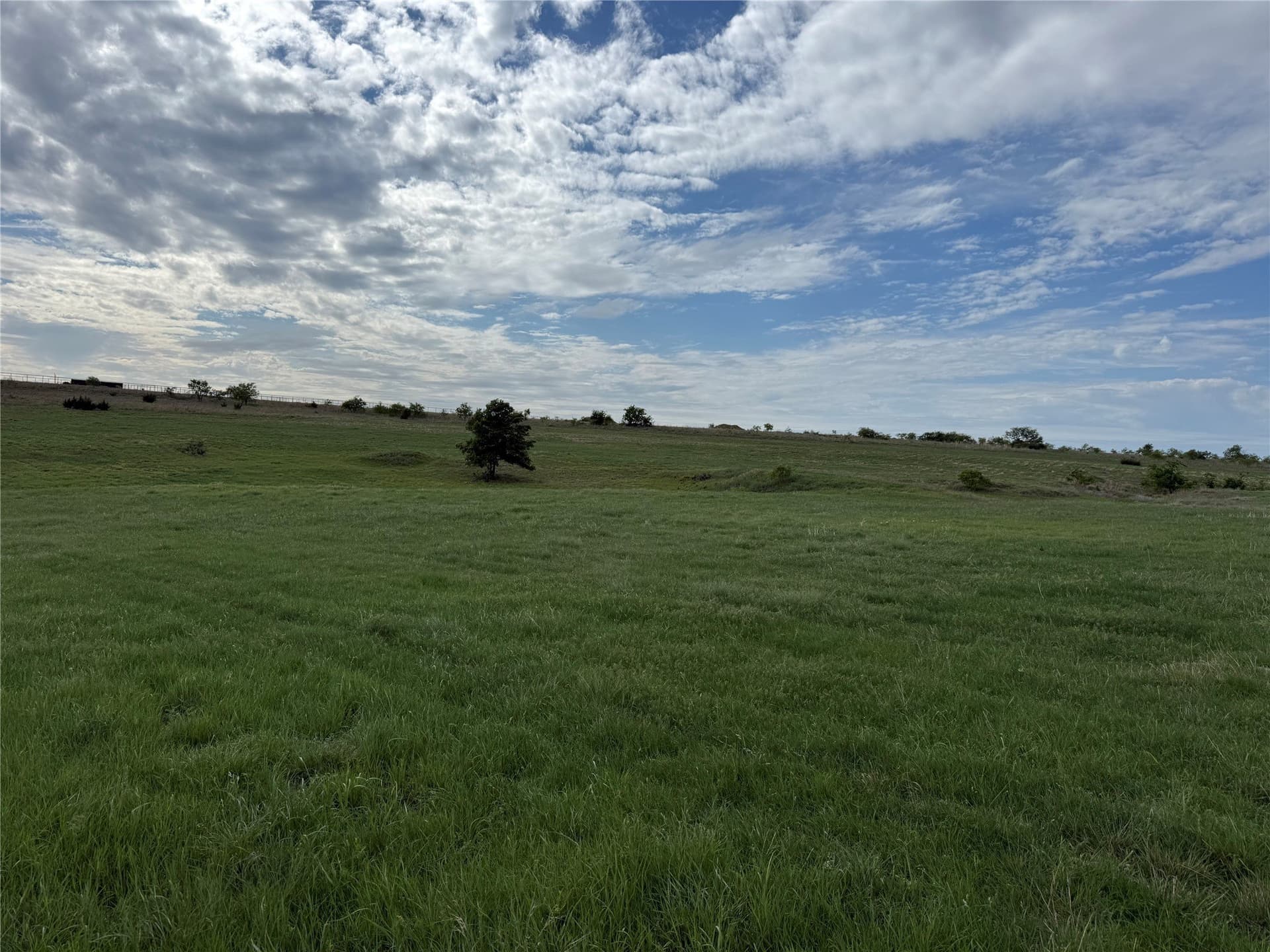 10.1 acres in Erath County gallery image 2