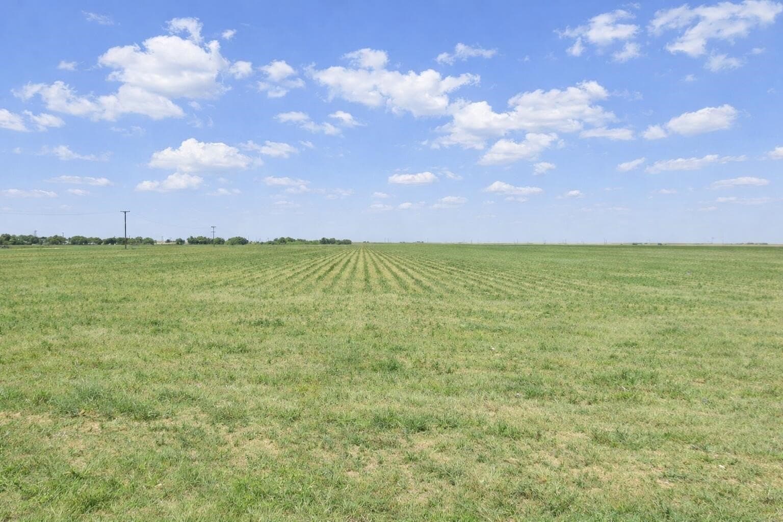 10 acres in Hockley County - photo 6