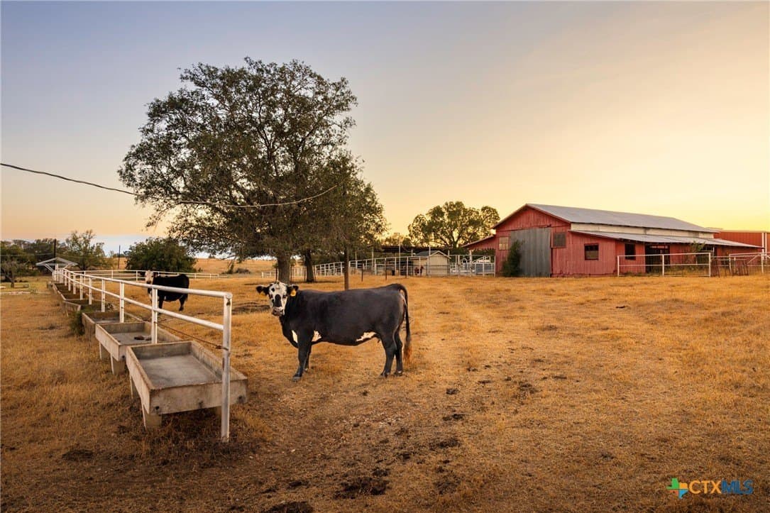 431.62 acres in Guadalupe County - photo 43