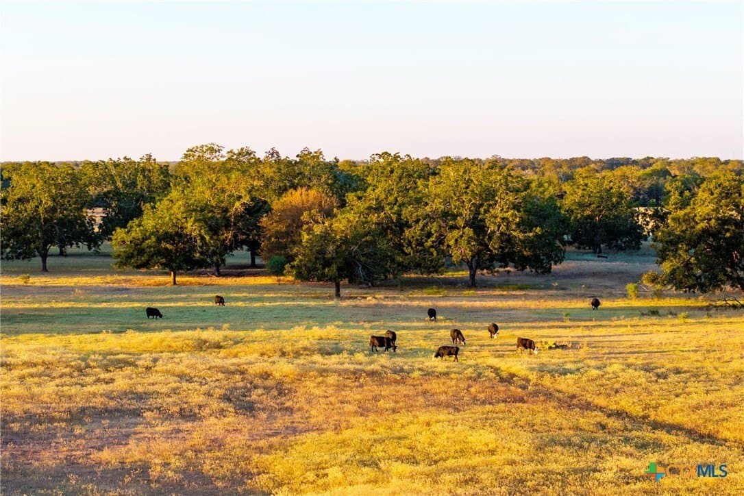 431.62 acres in Guadalupe County - photo 16