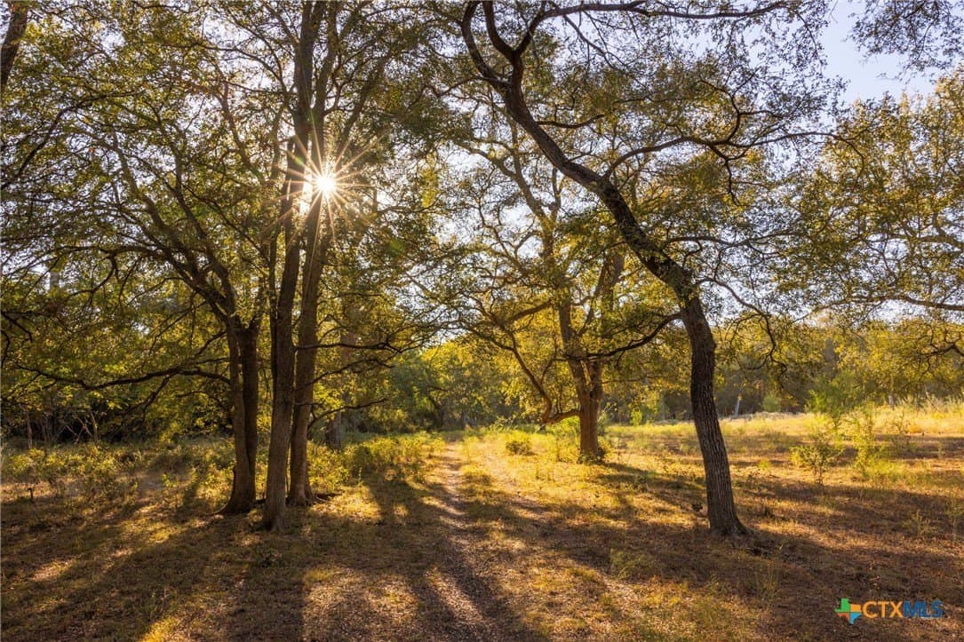 431.62 acres in Guadalupe County - photo 41