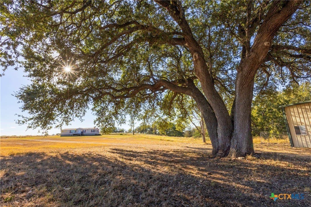 431.62 acres in Guadalupe County - photo 39