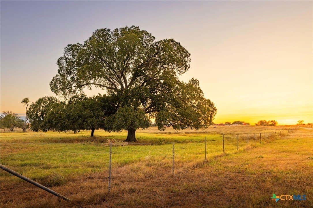 431.62 acres in Guadalupe County - photo 44