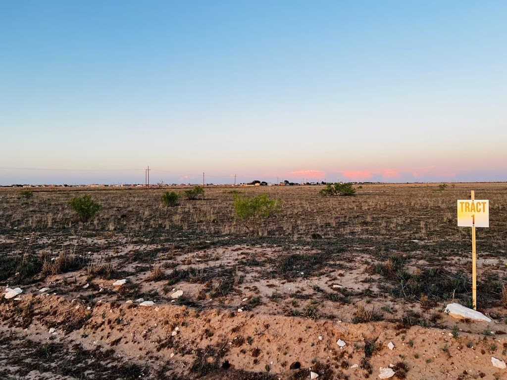 10.59 acres in Gaines County gallery image 4