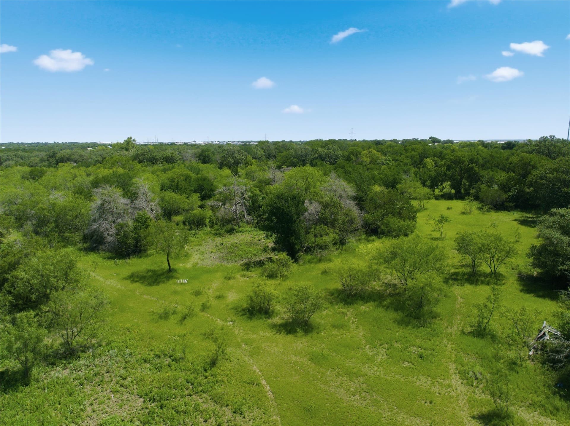 68.2 acres in McLennan County - photo 9