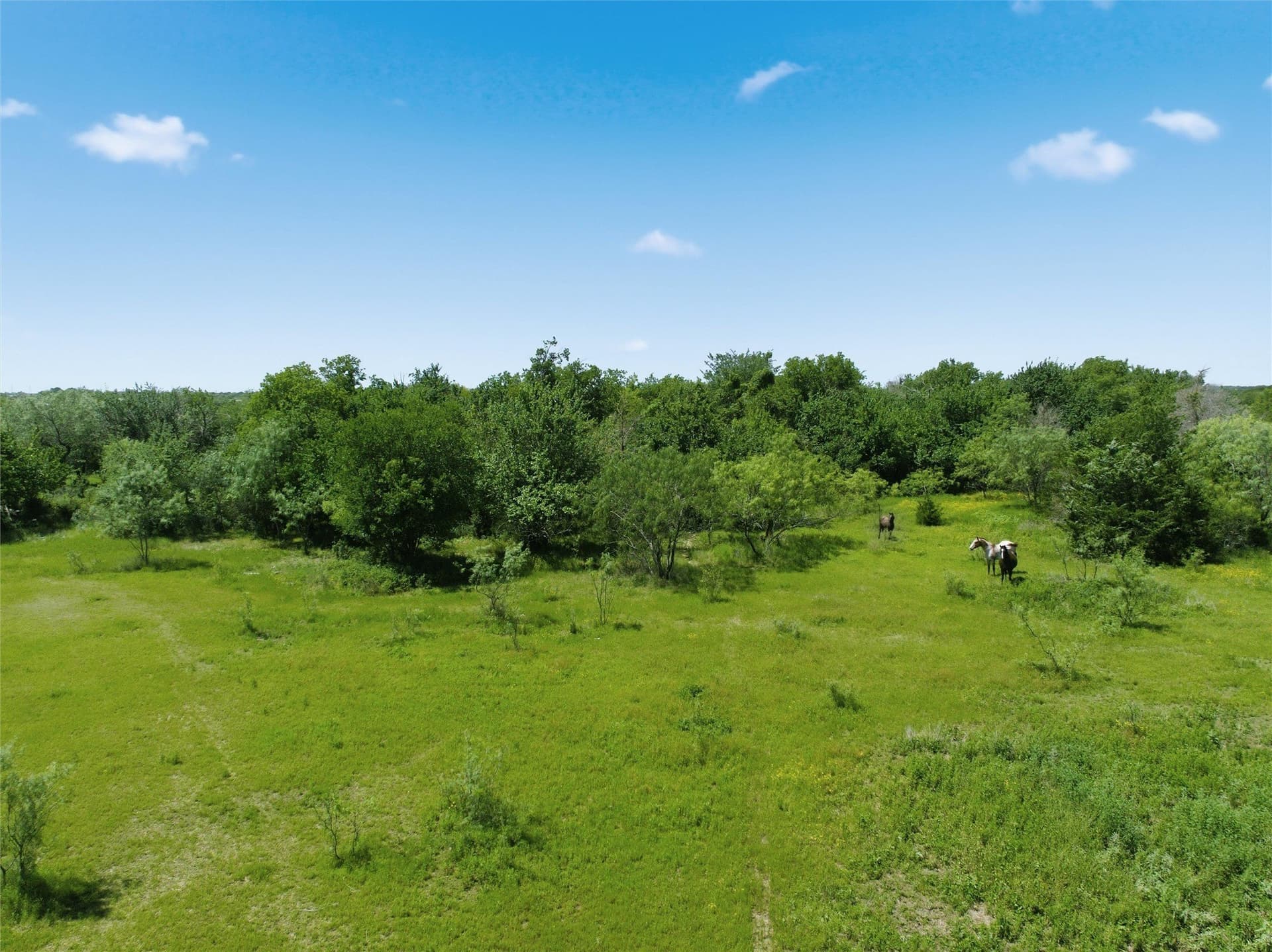 68.2 acres in McLennan County - photo 7