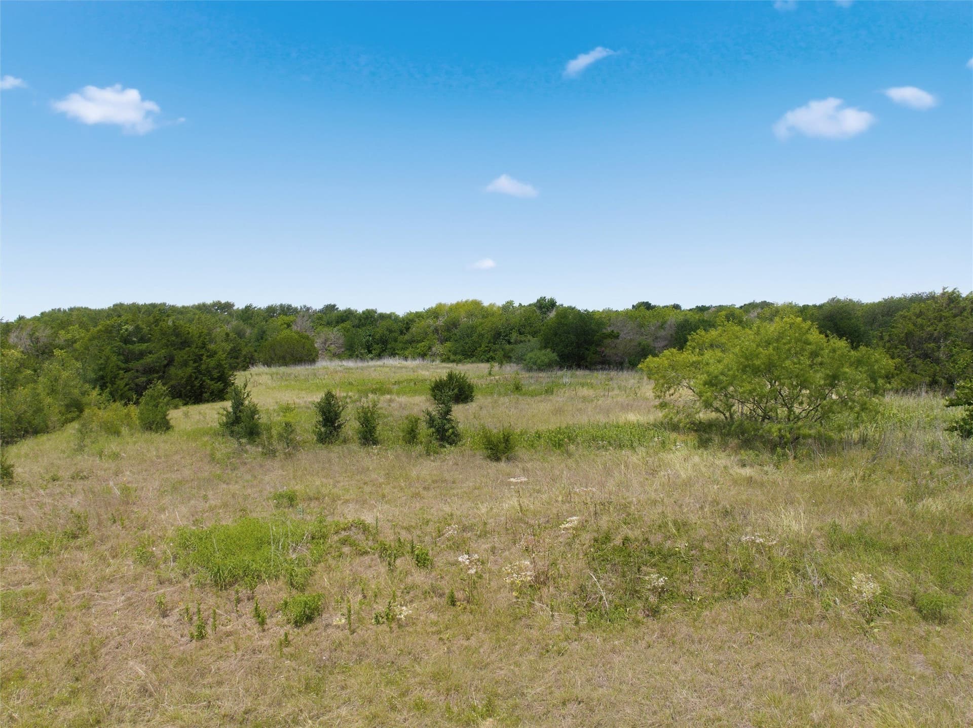 68.2 acres in McLennan County - photo 13