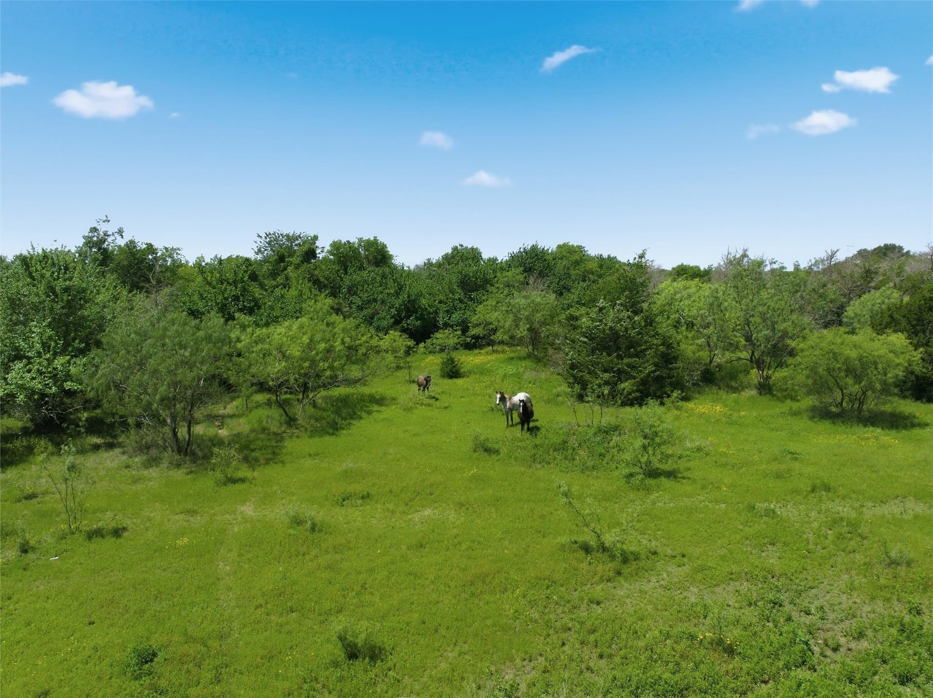 68.2 acres in McLennan County - photo 8