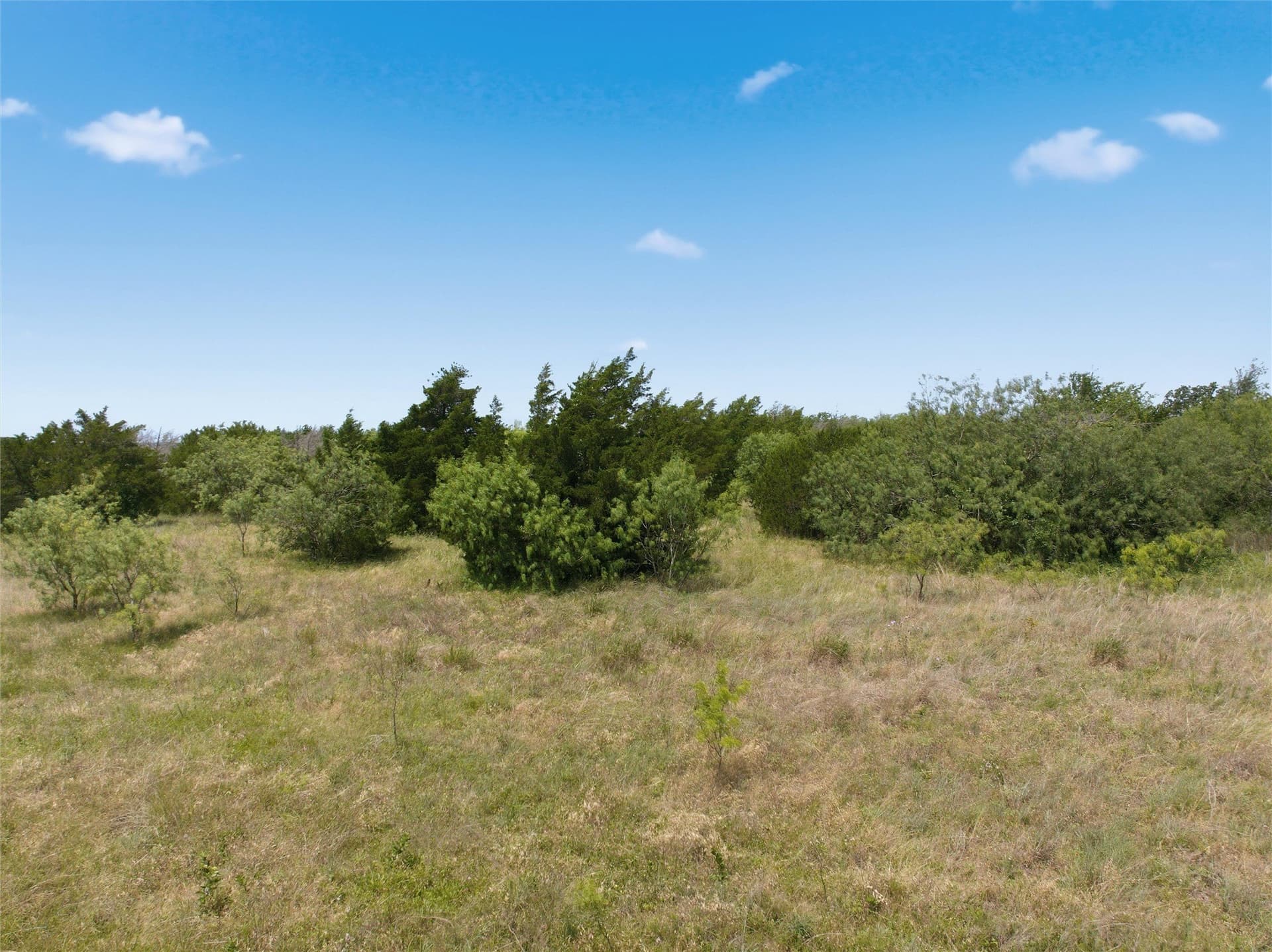 68.2 acres in McLennan County - photo 11