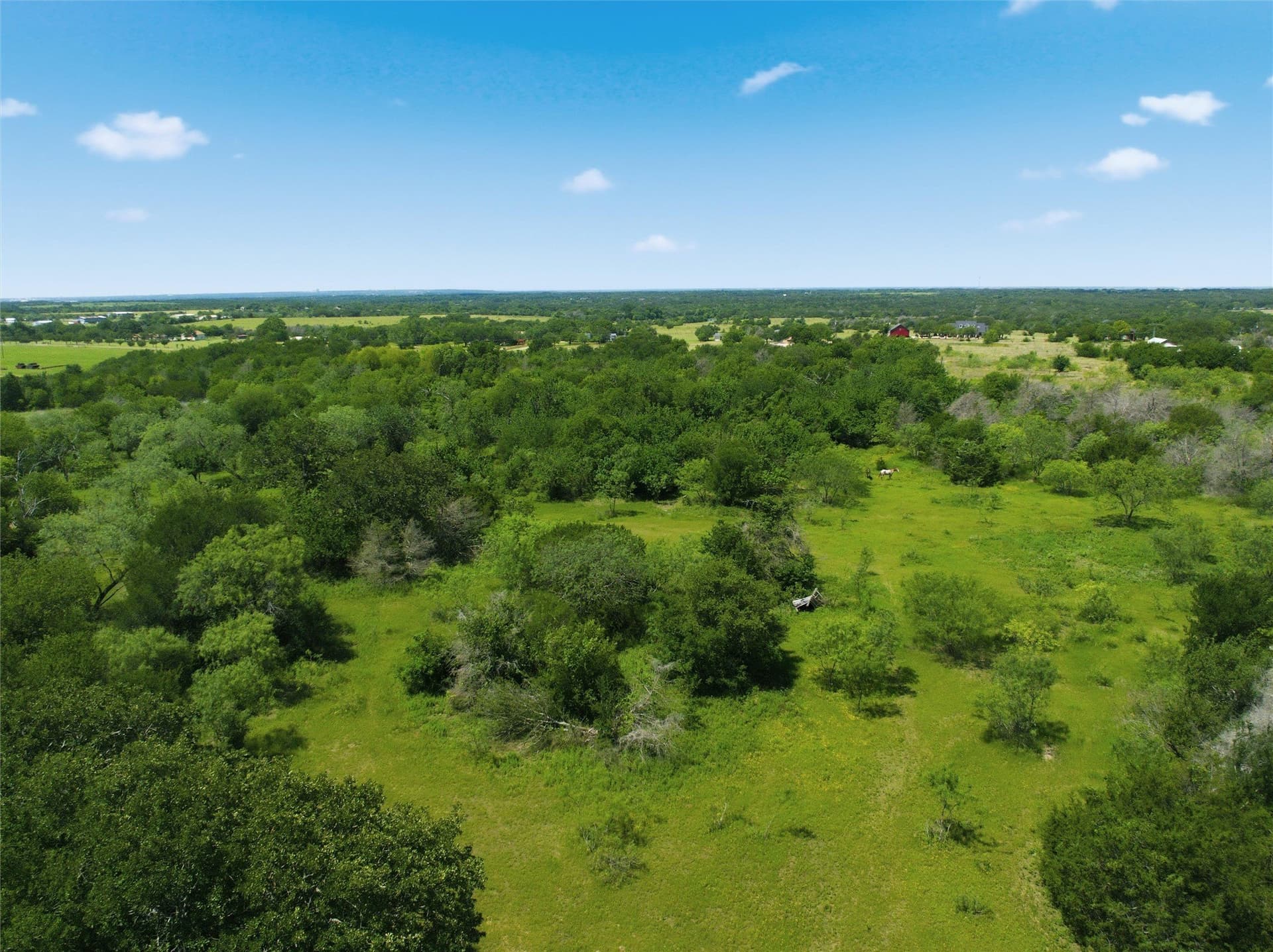 68.2 acres in McLennan County - photo 10