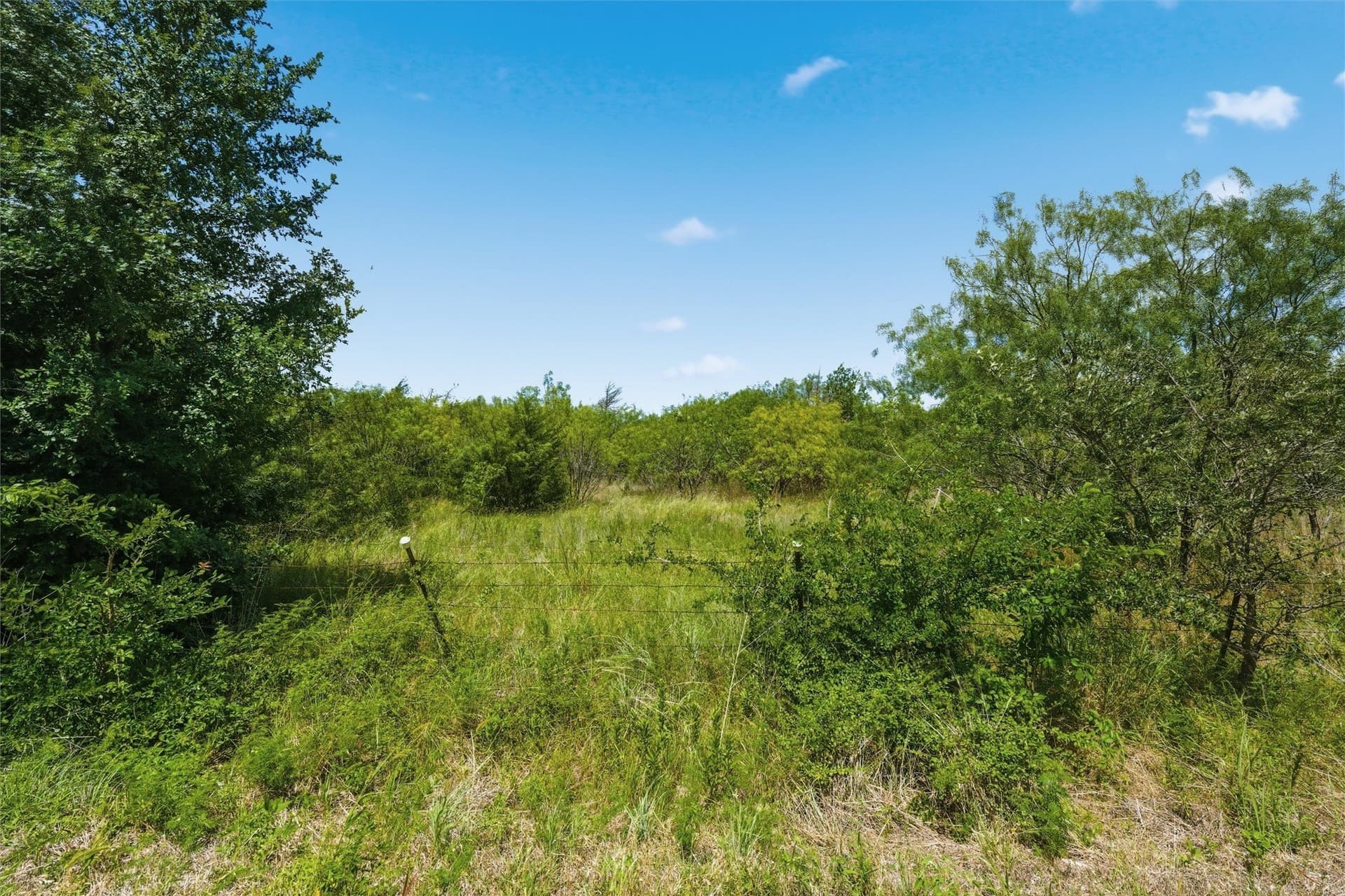 68.2 acres in McLennan County featured view