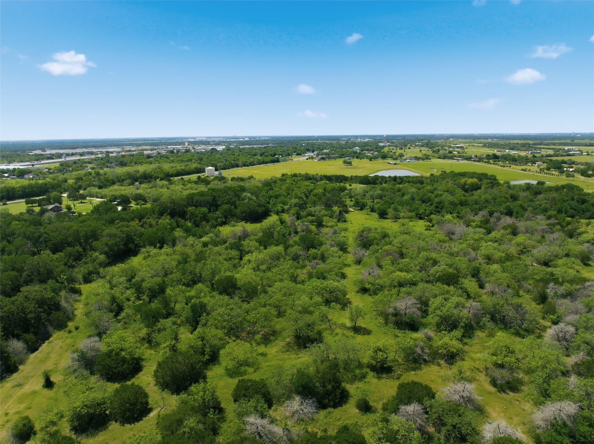 68.2 acres in McLennan County - photo 6