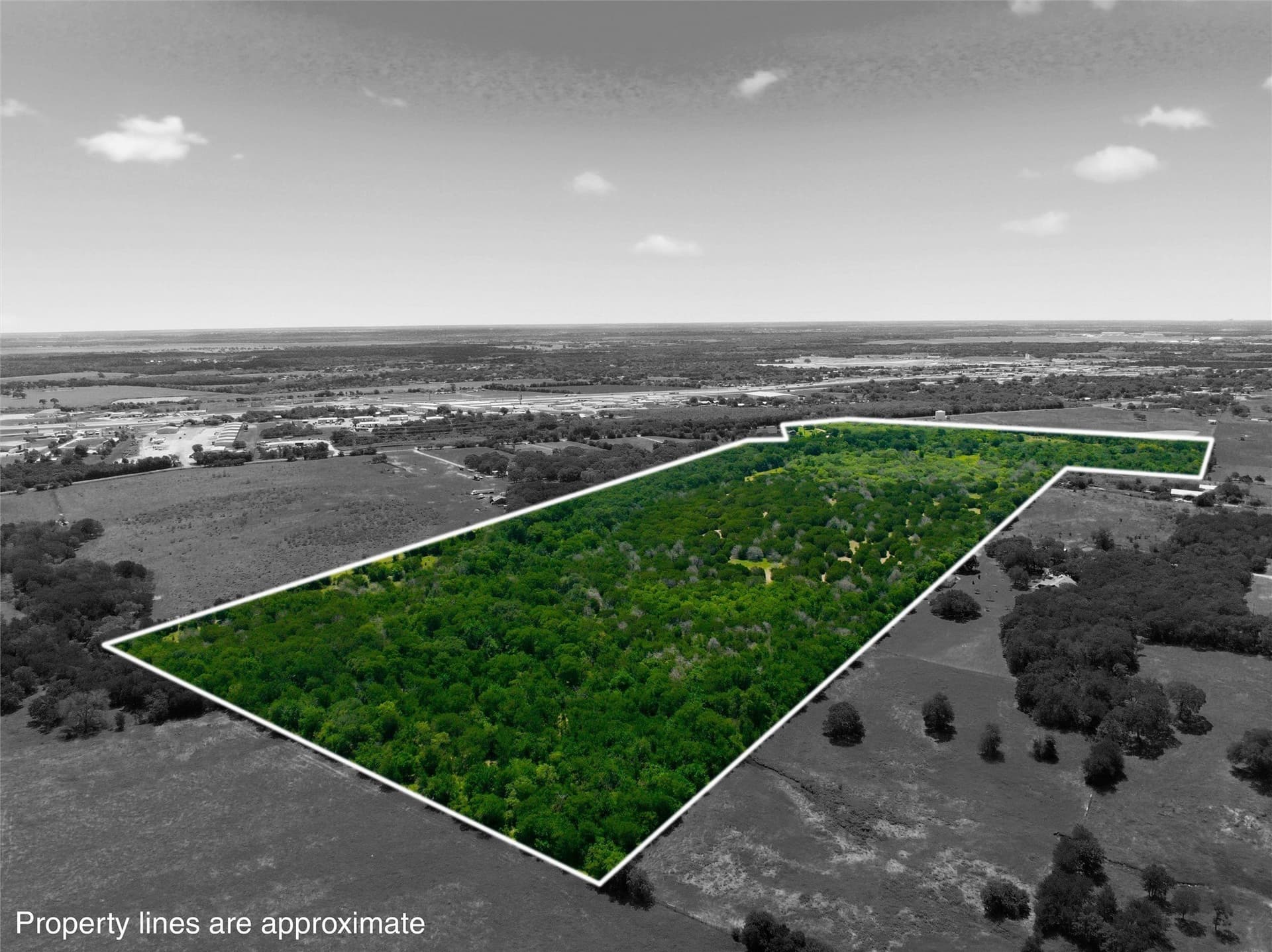68.2 acres in McLennan County - photo 25