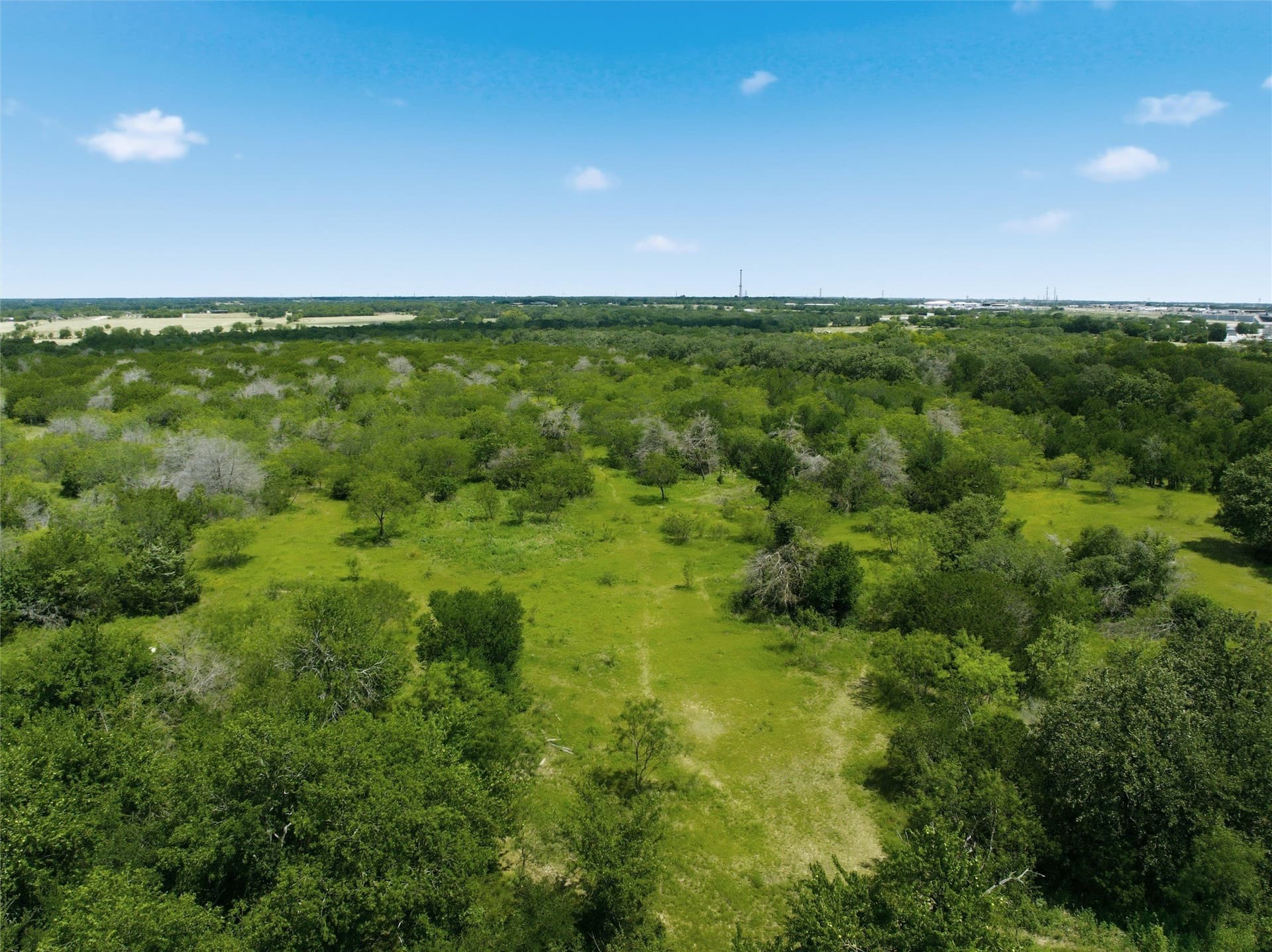 68.2 acres in McLennan County - photo 15