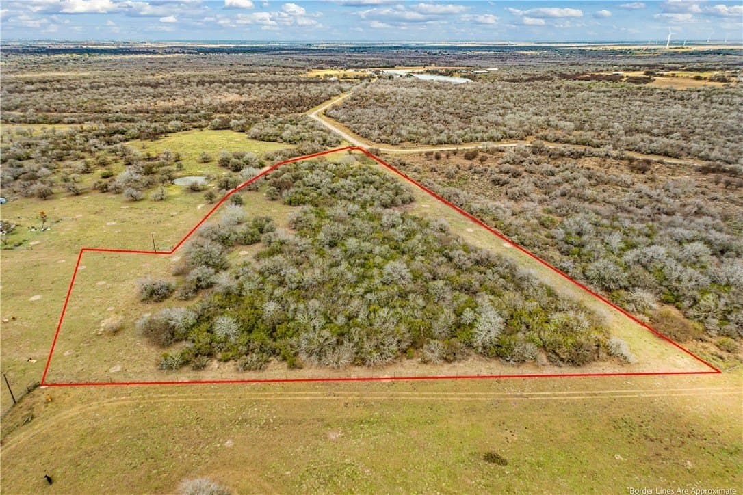10 acres in San Patricio County gallery image 2
