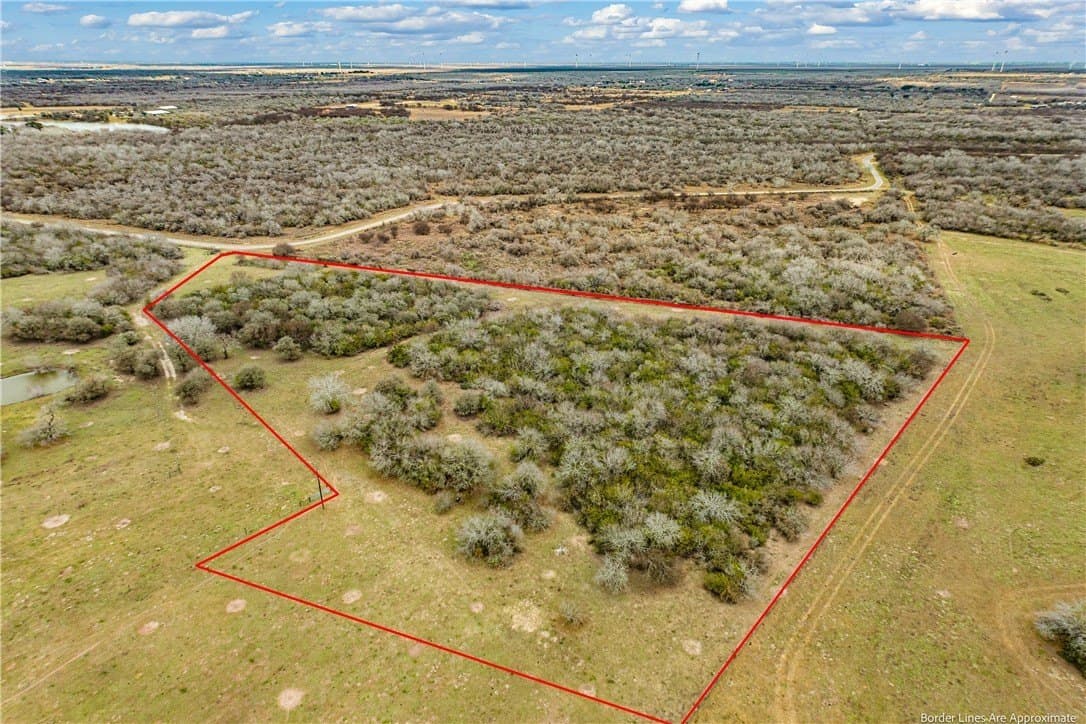 10 acres in San Patricio County gallery image 3