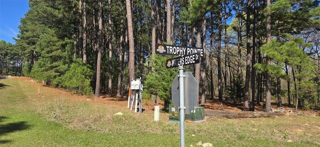2.02 acres in Henderson County gallery image 4