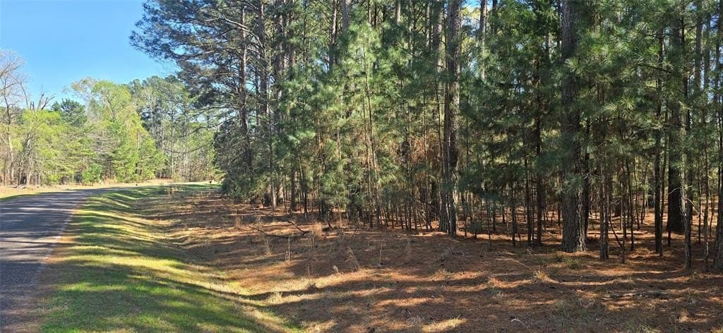 2.02 acres in Henderson County featured view