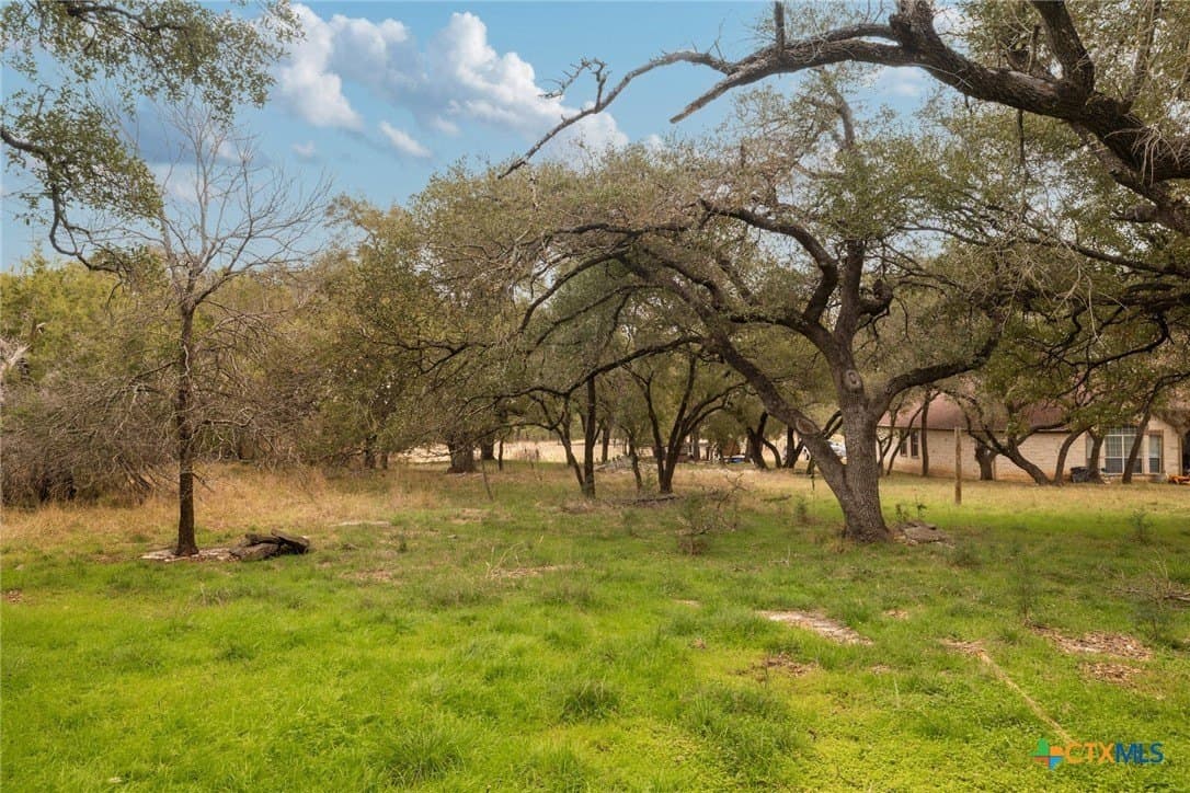 1 acres in Williamson County - photo 15