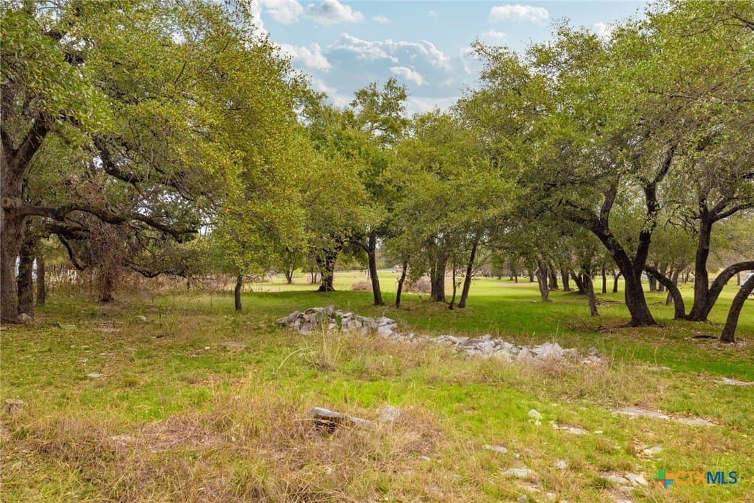 1 acres in Williamson County - photo 18