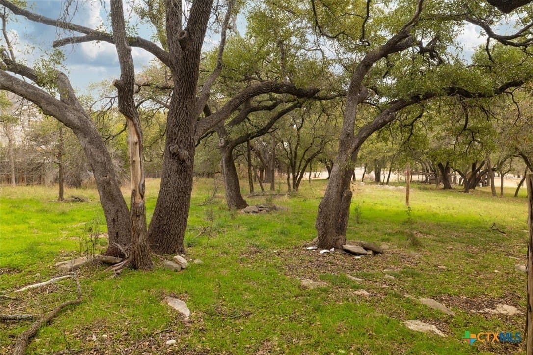 1 acres in Williamson County - photo 17