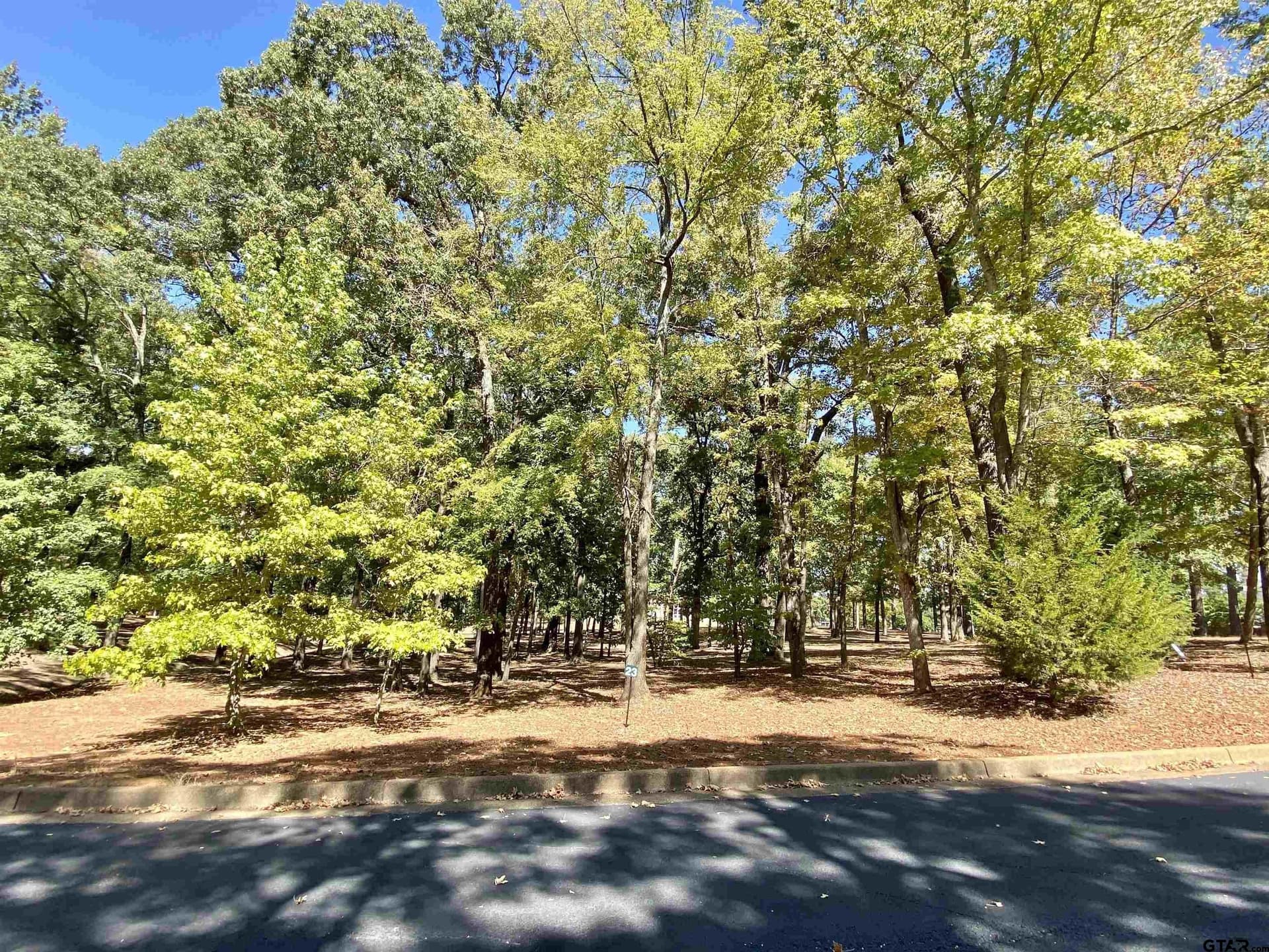 0.38 acres in Anderson County - photo 3